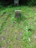 image of grave number 149529